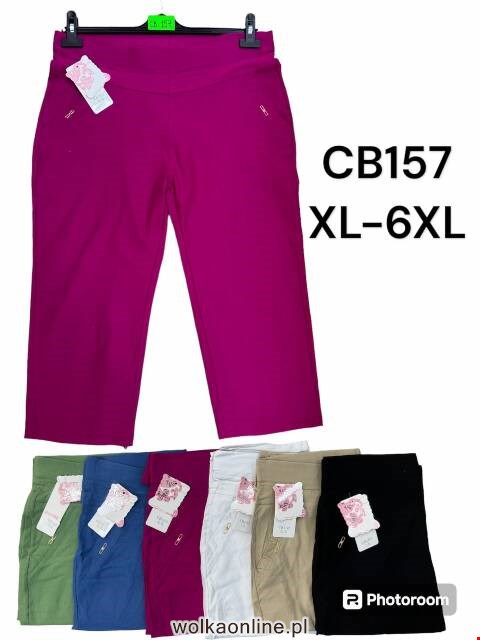Rybaczki damskie CB157 Mix kolor XL-6XL