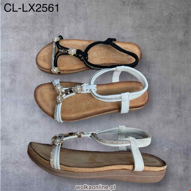Sandały damskie CL-LX2561 36-41 KOLOR DO WYBORU 
