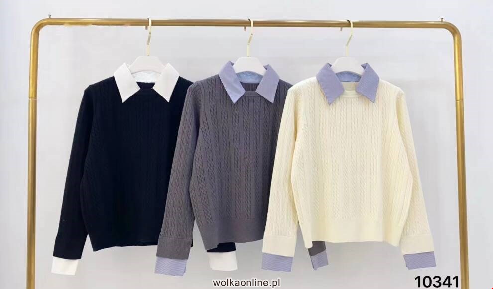 Sweter damskie 10341 Mix kolor Standard (Towar Włoskie)