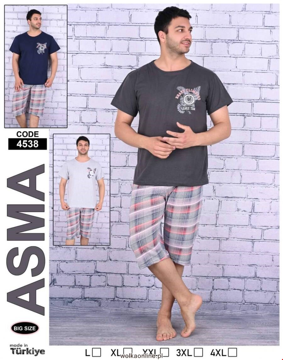 Piżama Meskie 4538 Mix kolor L-4XL (Towar Tureckie)