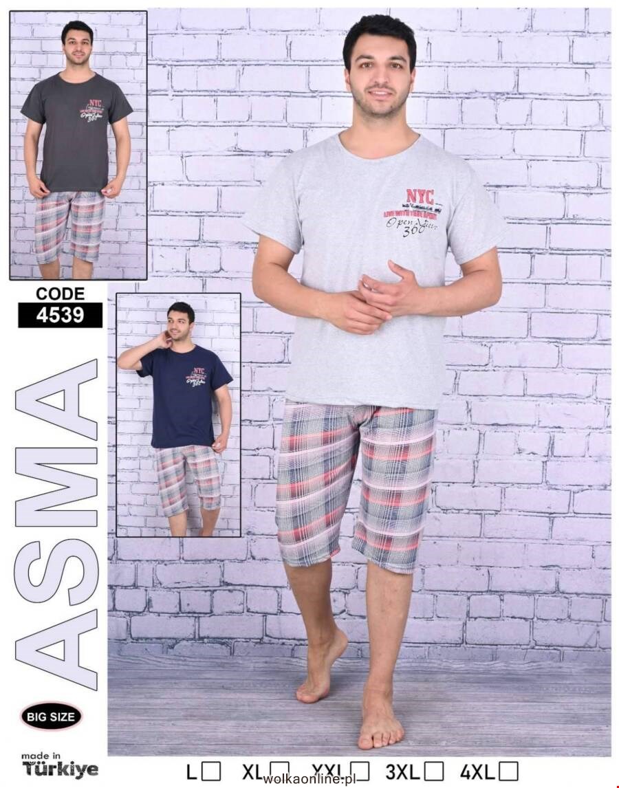 Piżama Meskie 4539 Mix kolor L-4XL (Towar Tureckie)